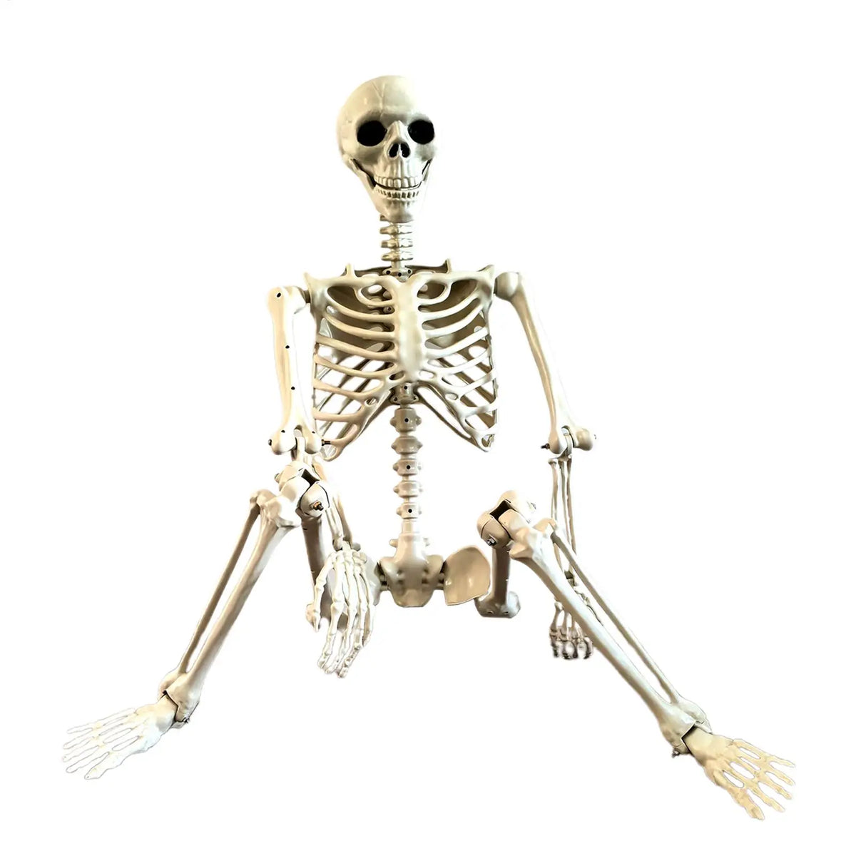 BoneBuddy™ – Szkielet Halloween 90 cm