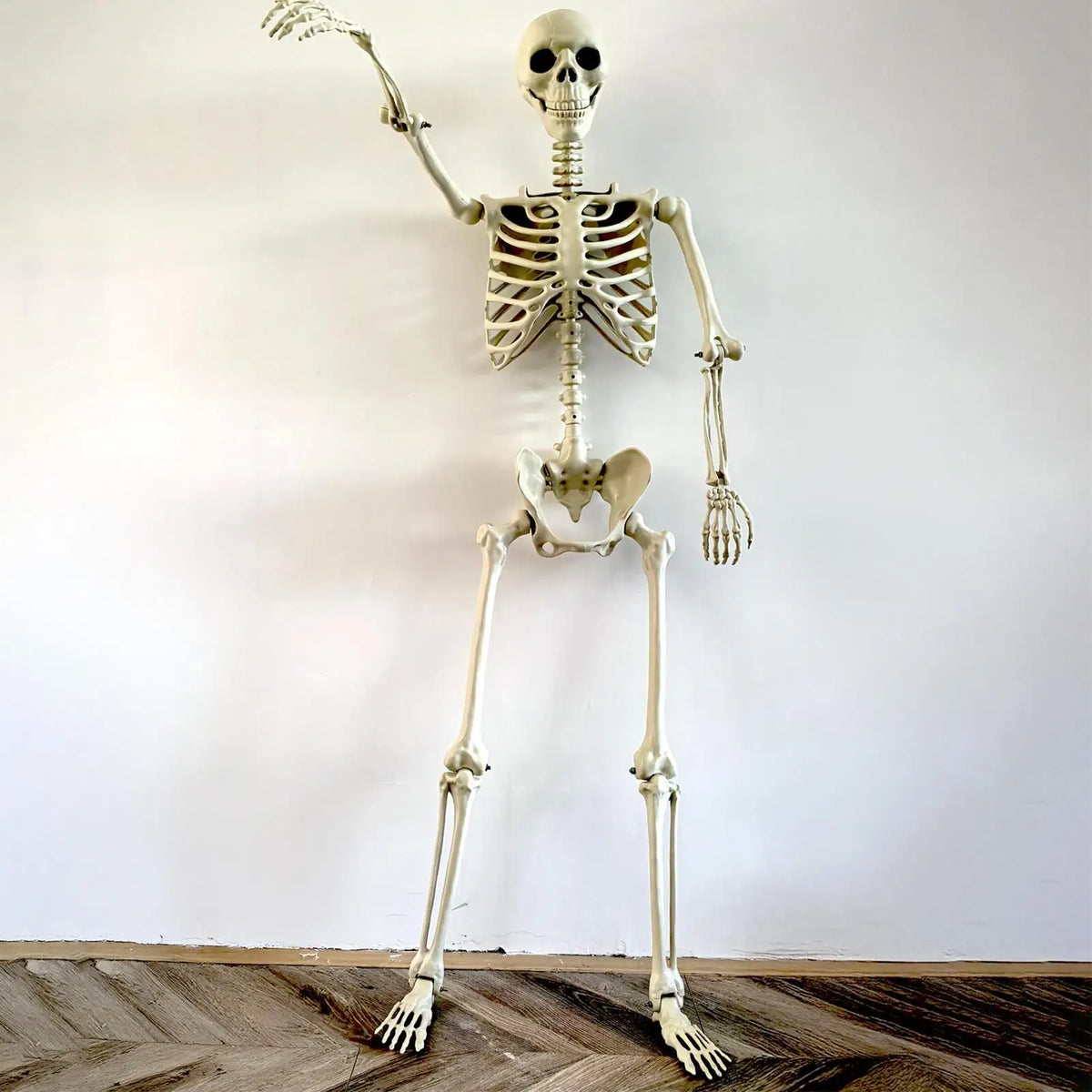 BoneBuddy™ – Szkielet Halloween 90 cm